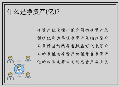 什么是净资产(亿)?