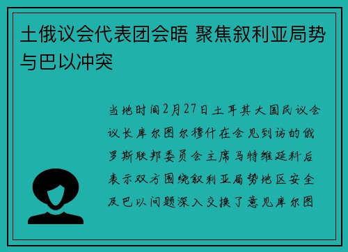 土俄议会代表团会晤 聚焦叙利亚局势与巴以冲突