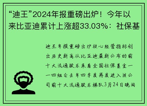 “迪王”2024年报重磅出炉!今年以来比亚迪累计上涨超33.03%:社保基金一路加仓,比千亿私募高毅资产邓晓峰更拿得住